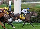 Rutherienne tries to return to the winner's circle in the Noble Damsel Handicap.<br><a target="blank" href="http://www.bloodhorse.com/horse-racing/photo-store?ref=http%3A%2F%2Fpictopia.com%2Fperl%2Fgal%3Fprovider_id%3D368%26ptp_photo_id%3D4177509%26ref%3Dstory">Order This Photo</a>