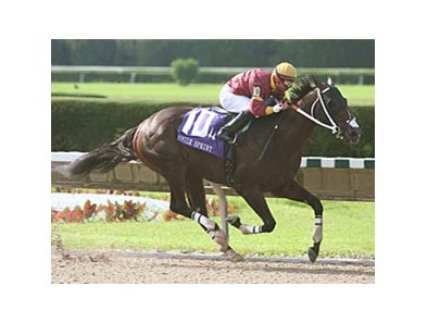 Big Drama flies home in the Smile Sprint Handicap.