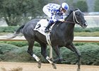 Dixieland Stakes winner Silver City faces 7 in the Derby Trial.