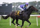 Grand Couturier will try to bring Breeders' Cup Glory to Trainer Robert Ribaudo.<br><a target="blank" href="http://www.bloodhorse.com/horse-racing/photo-store?ref=http%3A%2F%2Fpictopia.com%2Fperl%2Fgal%3Fprovider_id%3D368%26ptp_photo_id%3D6084314%26ref%3Dstory">Order This Photo</a>