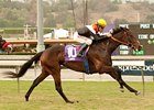 Wishing Gate has earned $373,942 while winning four of 16 starts.