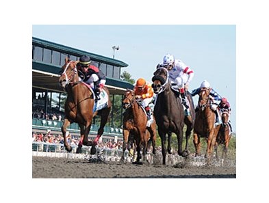 The finish of the Vinery Madison.