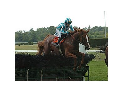 Good Night Shirt will try to win the Iroquois Steeplechase Stakes for the third consecutive year.