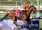 Beholder makes her first start of 2013 in the Santa Ynez Stakes.<br><a target="blank" href="http://photos.bloodhorse.com/BreedersCup/2012-Breeders-Cup/Juvenile-Fillies/26130210_XSj9gp#!i=2191312075&k=XfFwBwR">Order This Photo</a>
