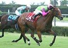Mambo Meister faces Jet Propulsion and 9 others in the Miami Mile.
