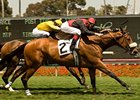 Gotta Have Her Grabs Royal Heroine Mile Gotta Have Her Grabs Royal Heroine Mile