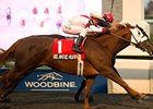 Atlantic Hurricane wins the Ontario Fashion Stakes.