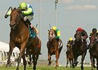 Ageless won the 2014 Royal North by a half length.