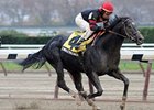 Endless Circle and Edgar Prado take the Fall Highweight Handicap.<br><a target="blank" href="http://www.bloodhorse.com/horse-racing/photo-store?ref=http%3A%2F%2Fpictopia.com%2Fperl%2Fgal%3Fprovider_id%3D368%26ptp_photo_id%3D9298796%26ref%3Dstory">Order This Photo</a>