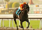 Teddy's Promise has won three races in a row, including the La Brea Stakes.