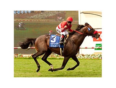 Acclamation after winning the Eddie Read Stakes.
