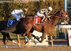 Researcher<br><a target="blank" href="http://www.bloodhorse.com/horse-racing/photo-store?ref=http%3A%2F%2Fpictopia.com%2Fperl%2Fgal%3Fprovider_id%3D368%26ptp_photo_id%3D7061731%26ref%3Dstory">Order This Photo</a>