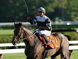 Injury Sidelines Afleet Express For the Year Injury Sidelines Afleet Express For the Year