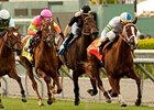 Cambina leads them home in the Providencia.<br><a target="blank" href="http://www.bloodhorse.com/horse-racing/photo-store?ref=http%3A%2F%2Fpictopia.com%2Fperl%2Fgal%3Fprovider_id%3D368%26ptp_photo_id%3D9484272%26ref%3Dstory">Order This Photo</a>