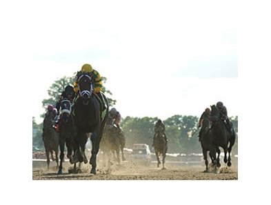 Palace Malice leads the rest of the 3-Year-Old field in the Belmont Stakes.
