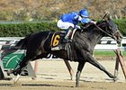 Romansh faces 6 in the Bold Ruler.<br><a target="blank" href="http://photos.bloodhorse.com/AtTheRaces-1/at-the-races-2013/27257665_QgCqdh#!i=2885677728&k=q7mPGx7">Order This Photo</a>
