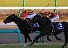 Logotype wins the Asahi Hai Futurity.
<br><a target="blank" href="http://photos.bloodhorse.com/AtTheRaces-1/at-the-races-2012/22274956_jFd5jM#!i=2275742717&k=rwmHKgM">Order This Photo</a>