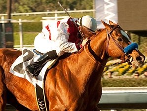 Euroears Hands Sizzling Baffert Palos Verdes Euroears Hands Sizzling Baffert Palos Verdes