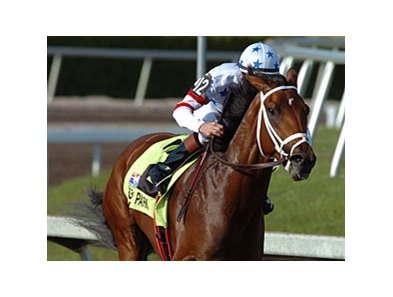 Big Brown remained the top choice as the third and final pool of the 2008 Kentucky Derby Future Wager reached its midway point.<br><a target="blank" href="http://www.bloodhorse.com/horse-racing/photo-store?ref=http%3A%2F%2Fpictopia.com%2Fperl%2Fgal%3Fprovider_id%3D368%26ptp_photo_id%3D4021954%26ref%3Dstory">Order This Photo</a>