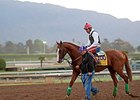 Martin: California Chrome Won't Race in Japan Martin: California Chrome Won't Race in Japan