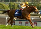 Wise Dan