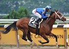 Lucky Island will try to continue his 2008 win streak in the Forego Stakes.<br><a target="blank" href="http://www.bloodhorse.com/horse-racing/photo-store?ref=http%3A%2F%2Fpictopia.com%2Fperl%2Fgal%3Fprovider_id%3D368%26ptp_photo_id%3D5022883%26ref%3Dstory">Order This Photo</a>