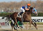 Caixa Eletronica streaks away from the field to win the Fall Highweight Handicap.
<br><a target="blank" href="http://photos.bloodhorse.com/AtTheRaces-1/at-the-races-2012/22274956_jFd5jM#!i=2231147431&k=JfsvKh8">Order This Photo</a>