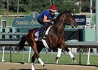 No Jet Lag<br><a target="blank" href="http://photos.bloodhorse.com/BreedersCup/2013-Breeders-Cup/Breeders-Cup/32986083_QMHXWK#!i=2871191919&k=WVJZgQz">Order This Photo</a>