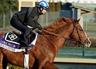 Preakness Winner Shackleford Going for Carter Preakness Winner Shackleford Going for Carter