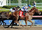 Lea Makes Impressive Hal's Hope Comeback Lea Makes Impressive Hal's Hope Comeback