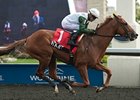 Five Iron wins the Victoria Park Stakes.