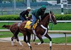 Mucho Macho Man