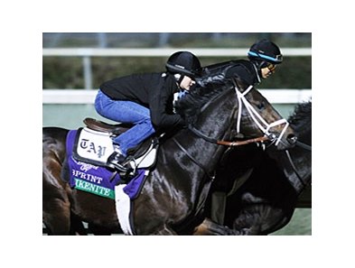 Aikenite at the 2011 Breeders' Cup.