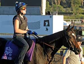 Cup Countdown: Big Bucks Time Cup Countdown: Big Bucks Time