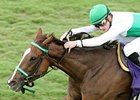 Winter View has won 3 in a row.