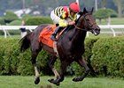 Silver Max cannot be caught in the Bernard Baruch Handicap.<br><a target="blank" href="http://photos.bloodhorse.com/AtTheRaces-1/at-the-races-2013/27257665_QgCqdh#!i=2735533367&k=VbwMvZK">Order This Photo</a>