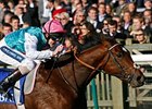 Frankel<br><a target="blank" href="http://www.bloodhorse.com/horse-racing/photo-store?ref=http%3A%2F%2Fpictopia.com%2Fperl%2Fgal%3Fprovider_id%3D368%26ptp_photo_id%3D9235087%26ref%3Dstory">Order This Photo</a>