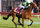 Bay to Bay Scores in American 1000 Guineas Bay to Bay Scores in American 1000 Guineas