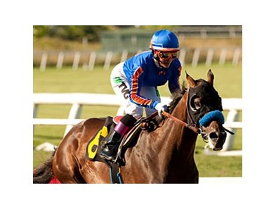 Game On Dude
