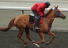 Awesome Fire will be ridden by Chantal Sutherland in the Wonder Where Stakes at Woodbine.