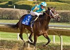 Joe Vann is in control in the Illinois Derby.