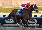 Royal Lahaina comes home strong to win the Go for Wand Handicap.
<br><a target="blank" href="http://photos.bloodhorse.com/AtTheRaces-1/at-the-races-2013/27257665_QgCqdh#!i=2938458279&k=N3TX9zL">Order This Photo</a>