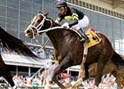 Cognac Kisses was second in the Allen's Prospect Stakes at Pimlico April 19.
