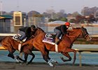 Romans: Shackleford, Dullahan Ready for BC Romans: Shackleford, Dullahan Ready for BC