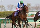 Lord Kanaloa wins the Takamatsunomiya Kinen.
<br><a target="blank" href="http://photos.bloodhorse.com/AtTheRaces-1/at-the-races-2013/27257665_QgCqdh#!i=2423654162&k=rGgkTpz">Order This Photo</a>