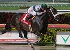 Tar Heel Mom is the 120-pound top weight in the Gallant Bloom.