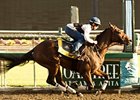 Mine That Bird works at Santa Anita on October 6 with Joe Talamo aboard.