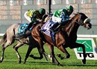 Grade I winner Winchester makes his first start of the year in the Stars and Stripes.