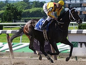 Rachel Alexandra Likely For La Troienne Rachel Alexandra Likely For La Troienne