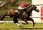 Del Mar Mile Enriched heads the eight-horse field for the California Cup Classic.<br><a target="blank" href="http://www.bloodhorse.com/horse-racing/photo-store?ref=http%3A%2F%2Fpictopia.com%2Fperl%2Fgal%3Fprovider_id%3D368%26ptp_photo_id%3D9162016%26ref%3Dstory">Order This Photo</a>